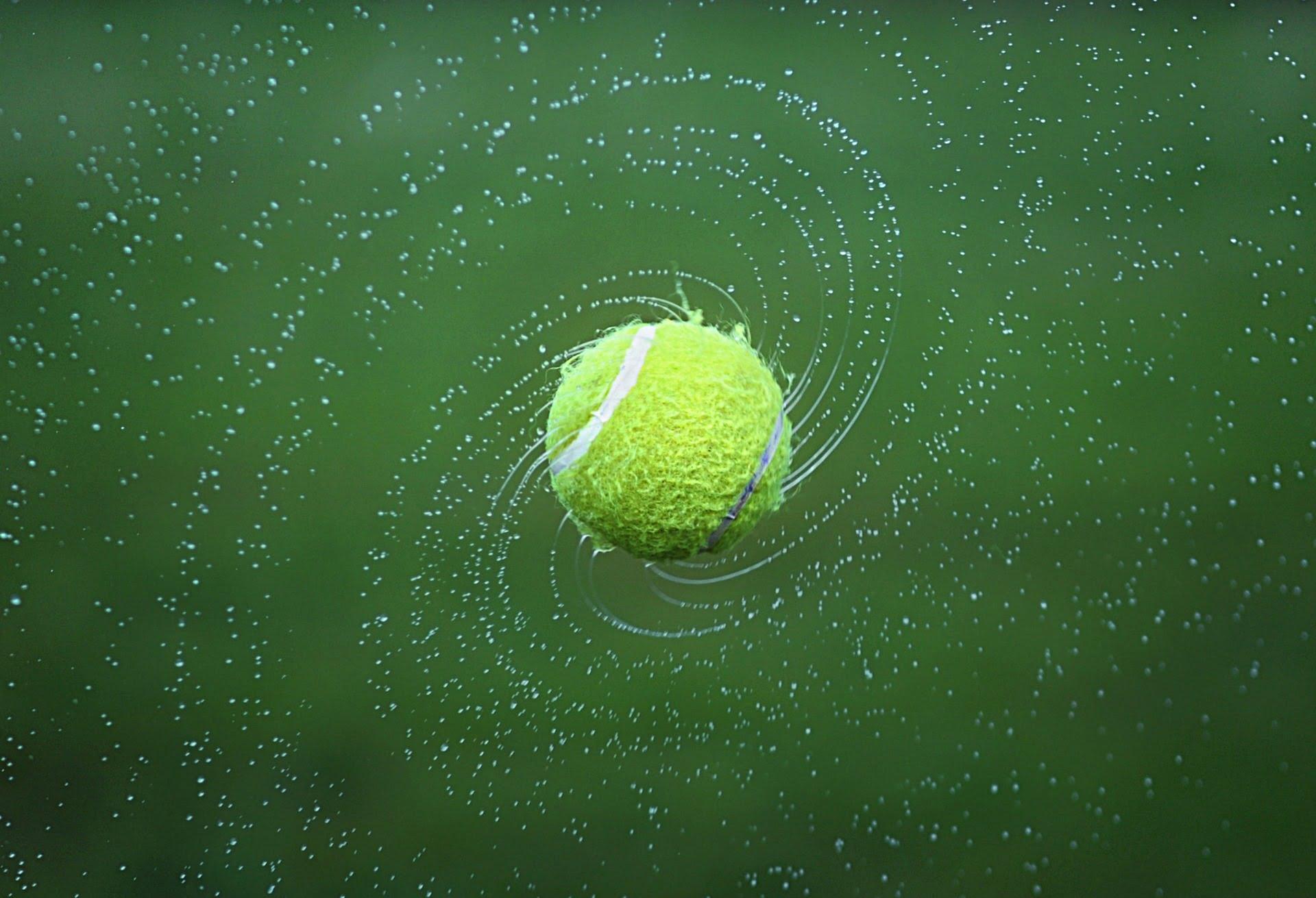 Tennis ball spinning on grass court like Wimbledon played on by Ons Jabeur in the final